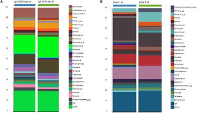 Influence of Oral Microbiota on the Presence of IgA Anti-Citrullinated Protein Antibodies in Gingival Crevicular Fluid